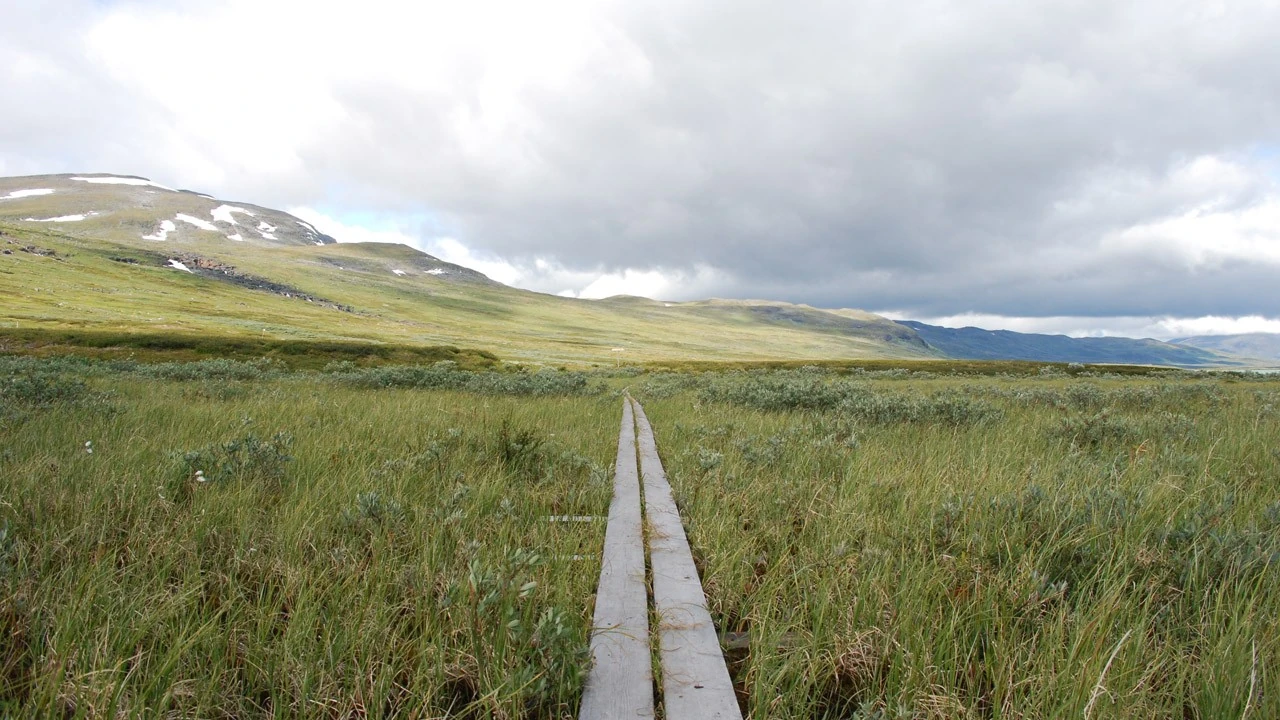 Graslandschaft mit Bergen im Hintergrund